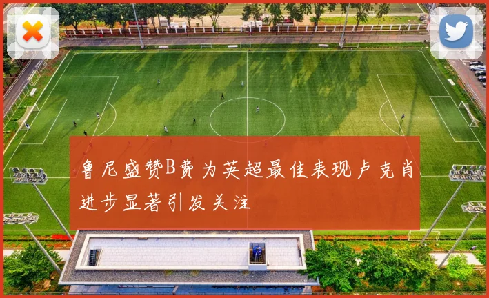 鲁尼盛赞B费为英超最佳表现卢克肖进步显著引发关注